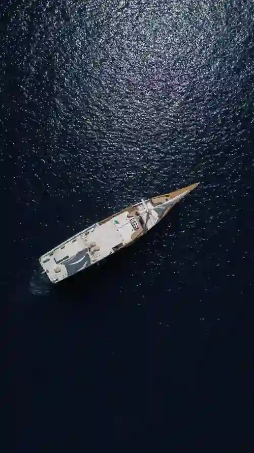 Raffles-Cruise-2.webp